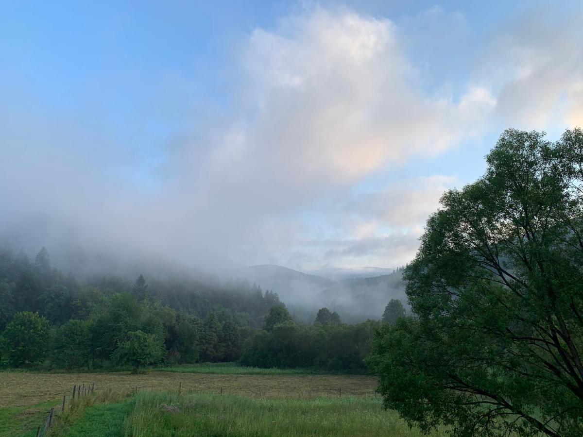 Tylko Tu Bieszczady, Balia, Sauna Baligród Exterior foto