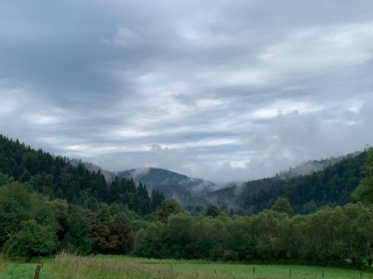 Tylko Tu Bieszczady, Balia, Sauna Baligród Exterior foto